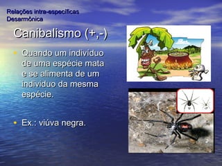 Canibalismo (+,-)Canibalismo (+,-)
• Quando um indivíduoQuando um indivíduo
de uma espécie matade uma espécie mata
e se alimenta de ume se alimenta de um
individuo da mesmaindividuo da mesma
espécie.espécie.
• Ex.: viúva negra.Ex.: viúva negra.
Relações intra-específicasRelações intra-específicas
DesarmônicaDesarmônica
 