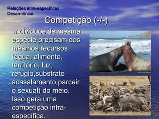 Competição (-/-)Competição (-/-)
• Indivíduos de mesmaIndivíduos de mesma
espécie precisam dosespécie precisam dos
mesmos recursosmesmos recursos
(água, alimento,(água, alimento,
território, luz,território, luz,
refúgio,substratorefúgio,substrato
acasalamento,parceiracasalamento,parceir
o sexual) do meio.o sexual) do meio.
Isso gera umaIsso gera uma
competição intra-competição intra-
específica.específica.
Relações intra-específicasRelações intra-específicas
DesarmônicaDesarmônica
 