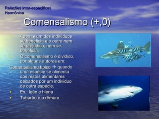 Comensalismo (+,0)Comensalismo (+,0)
• Apenas um dos indivíduosApenas um dos indivíduos
se beneficia e o outro nemse beneficia e o outro nem
se prejudica, nem sese prejudica, nem se
beneficia.beneficia.
• O comensalismo é dividido,O comensalismo é dividido,
por alguns autores em:por alguns autores em:
Comensalismo típicoComensalismo típico  quandoquando
uma espécie se alimentauma espécie se alimenta
dos restos alimentaresdos restos alimentares
deixados por um individuodeixados por um individuo
de outra espécie.de outra espécie.
• Ex.: leão e hienaEx.: leão e hiena
• Tubarão e a rêmuraTubarão e a rêmura
Relações inter-específicasRelações inter-específicas
HarmônicaHarmônica
 