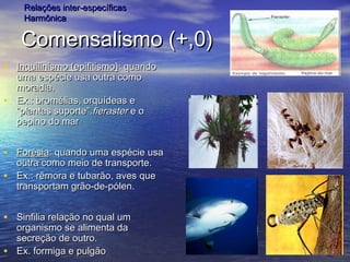 Comensalismo (+,0)Comensalismo (+,0)
• Inquilinismo (epifitismo)Inquilinismo (epifitismo): quando: quando
uma espécie usa outra comouma espécie usa outra como
moradia.moradia.
• Ex.: bromélias, orquídeas eEx.: bromélias, orquídeas e
“plantas suporte”.“plantas suporte”.fierasterfieraster e oe o
pepino do marpepino do mar
• ForésiaForésia: quando uma espécie usa: quando uma espécie usa
outra como meio de transporte.outra como meio de transporte.
• Ex.: rêmora e tubarão, aves queEx.: rêmora e tubarão, aves que
transportam grão-de-pólen.transportam grão-de-pólen.
• Sinfilia relação no qual umSinfilia relação no qual um
organismo se alimenta daorganismo se alimenta da
secreção de outro.secreção de outro.
• Ex. formiga e pulgãoEx. formiga e pulgão
Relações inter-específicasRelações inter-específicas
HarmônicaHarmônica
 
