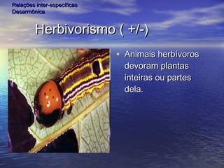 Herbivorismo ( +/-)Herbivorismo ( +/-)
• Animais herbívorosAnimais herbívoros
devoram plantasdevoram plantas
inteiras ou partesinteiras ou partes
dela.dela.
Relações inter-específicasRelações inter-específicas
DesarmônicaDesarmônica
 