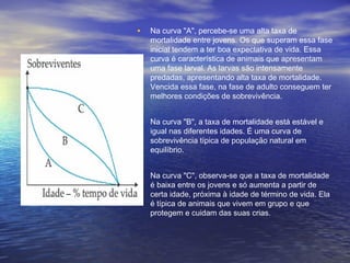 • Na curva "A", percebe-se uma alta taxa de
mortalidade entre jovens. Os que superam essa fase
inicial tendem a ter boa expectativa de vida. Essa
curva é característica de animais que apresentam
uma fase larval. As larvas são intensamente
predadas, apresentando alta taxa de mortalidade.
Vencida essa fase, na fase de adulto conseguem ter
melhores condições de sobrevivência.
• Na curva "B", a taxa de mortalidade está estável e
igual nas diferentes idades. É uma curva de
sobrevivência típica de população natural em
equilíbrio.
• Na curva "C", observa-se que a taxa de mortalidade
é baixa entre os jovens e só aumenta a partir de
certa idade, próxima à idade de término de vida. Ela
é típica de animais que vivem em grupo e que
protegem e cuidam das suas crias.
 