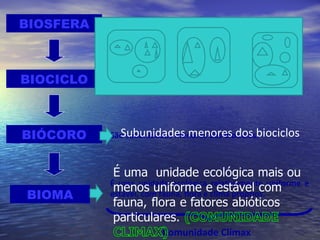 BIOSFERA
BIÓCORO
BIOMA
BIOCICLO
É uma unidade ecológica relativamente uniforme e
estável, com fauna, flora e clima próprios.
São subunidades menores dos biociclos.
Comunidade Clímax
Subunidades menores dos biociclos
 