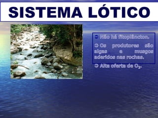 SISTEMA LÓTICO
 