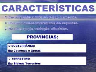PROVÍNCIAS:
 SUBTERRÂNEA:
Ex: Cavernas e Grutas
 TERRESTRE:
Ex: Biomas Terrestres
 