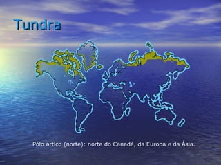 TundraTundra
Pólo ártico (norte): norte do Canadá, da Europa e da Ásia.
 
