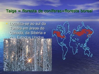 Taiga = floresta de conTaiga = floresta de conííferas=floresta borealferas=floresta boreal
• Localiza-se ao sul daLocaliza-se ao sul da
Tundra em áreas doTundra em áreas do
Canadá, da Sibéria eCanadá, da Sibéria e
dos Estados Unidos.dos Estados Unidos.
 