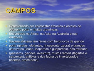 CAMPOSCAMPOS
• Caracterizado por apresentar arbustos e árvores deCaracterizado por apresentar arbustos e árvores de
pequeno porte e muitas gramíneas.pequeno porte e muitas gramíneas.
• Encontrado na África, na Ásia, na Austrália e nasEncontrado na África, na Ásia, na Austrália e nas
Américas.Américas.
• Savana africana tem fauna com herbívoros de grandeSavana africana tem fauna com herbívoros de grande
• porte (girafas, elefantes, rinoceronte, zebra) e grandesporte (girafas, elefantes, rinoceronte, zebra) e grandes
carnívoros (leões, leopardos e guepardos), rica avifaunacarnívoros (leões, leopardos e guepardos), rica avifauna
• (pássaros, gaviões, avestruz), muitos répteis (lagartos e(pássaros, gaviões, avestruz), muitos répteis (lagartos e
serpentes), anfíbios e rica fauna de invertebradosserpentes), anfíbios e rica fauna de invertebrados
(insetos, aracnídeos).(insetos, aracnídeos).
 