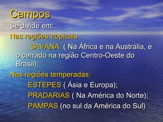 CamposCampos
Se divide em:Se divide em:
Nas regiões tropicais :Nas regiões tropicais :
SAVANASAVANA ( Na África e na Austrália, e( Na África e na Austrália, e
o cerrado na região Centro-Oeste doo cerrado na região Centro-Oeste do
Brasil);Brasil);
Nas regiões temperadas:Nas regiões temperadas:
ESTEPESESTEPES ( Ásia e Europa);( Ásia e Europa);
PRADARIASPRADARIAS ( Na América do Norte);( Na América do Norte);
PAMPASPAMPAS (no sul da América do Sul)(no sul da América do Sul)
 
