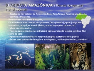 FLORESTA AMAZÔNICAFLORESTA AMAZÔNICA ( floresta tipicamente( floresta tipicamente
pluvial tropical)pluvial tropical)
• localiza-se nos estados do Amazonas, Pará, Acre,Amapá, Roraima Mato grosso,
Tocantins e Maranhão.
Divide-se em terra firme e alagada,
Os mamíferos mais comuns são: primatas,Onça pintada ( jaguar,) onça parda ,
tamanduás, preguiças, sucuri, jibóias, araras, papagaios, tucanos, etc.
• clima quente e úmido
•Floresta apresenta diversos estratos;O estrato mais alto localiza-se 30m e 40m
acima do solo
•Apresentam raízes tabulares responsáveis pela sustentação das plantas
•Árvore mais conhecida da região é a seringueira, epífitas (bromélias), jatobá etc
 