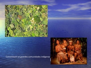 Concentram-se grandes comunidades indígenas
 