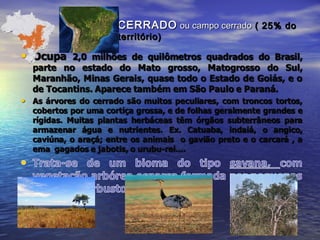 CERRADOCERRADO ou campo cerradoou campo cerrado ( 25% do( 25% do
território)território)
 