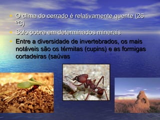 • O clima do cerrado é relativamente quente (26O clima do cerrado é relativamente quente (26
ºC)ºC)
• Solo pobre em determinados mineraisSolo pobre em determinados minerais
• Entre a diversidade de invertebrados, os maisEntre a diversidade de invertebrados, os mais
notáveis são os térmitas (cupins) e as formigasnotáveis são os térmitas (cupins) e as formigas
cortadeiras (saúvascortadeiras (saúvas
 