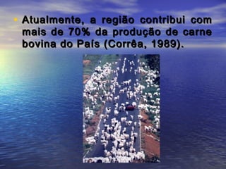 • Atualmente, a região contribui comAtualmente, a região contribui com
mais de 70% da produção de carnemais de 70% da produção de carne
bovina do País (Corrêa, 1989).bovina do País (Corrêa, 1989).
 