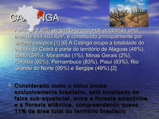 CAATINGACAATINGA
• Abrange 9,92% do território nacional, ocupando umaAbrange 9,92% do território nacional, ocupando uma
área de 844.453 Km², é constituída principalmente porárea de 844.453 Km², é constituída principalmente por
savana estépica.[1] [6] A Catinga ocupa a totalidade dosavana estépica.[1] [6] A Catinga ocupa a totalidade do
estado do Ceará e parte do território de Alagoas (48%),estado do Ceará e parte do território de Alagoas (48%),
Bahia (54%), Maranhão (1%), Minas Gerais (2%),Bahia (54%), Maranhão (1%), Minas Gerais (2%),
Paraíba (92%), Pernambuco (83%), Piauí (63%), RioParaíba (92%), Pernambuco (83%), Piauí (63%), Rio
Grande do Norte (95%) e Sergipe (49%).[2]Grande do Norte (95%) e Sergipe (49%).[2]
• Considerado como o único biomaConsiderado como o único bioma
exclusivamente brasileiro, está localizado naexclusivamente brasileiro, está localizado na
faixa sub-equatorial, entre a floresta amazônicafaixa sub-equatorial, entre a floresta amazônica
e a floresta atlântica, compreendendo quasee a floresta atlântica, compreendendo quase
11% da área total do território brasileiro11% da área total do território brasileiro
 