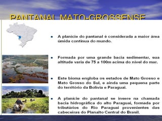 PANTANAL MATO-GROSSENSEPANTANAL MATO-GROSSENSE
 
