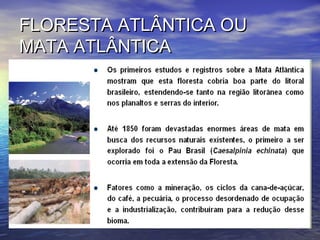 FLORESTA ATLÂNTICA OUFLORESTA ATLÂNTICA OU
MATA ATLÂNTICAMATA ATLÂNTICA
 