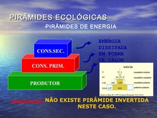 PIRÂMIDES ECOLÓGICASPIRÂMIDES ECOLÓGICAS
PIRÂMIDES DE ENERGIA
PRODUTOR
CONS. PRIM.
CONS.SEC.
ENERGIA
DISSIPADA
EM FORMA
DE CALOR
OBSERVAÇÃO:NÃO EXISTE PIRÂMIDE INVERTIDA
NESTE CASO.
 