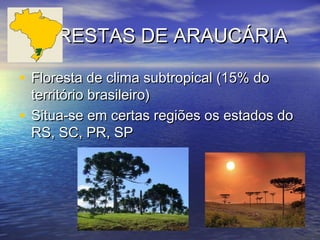 FLORESTAS DE ARAUCÁRIAFLORESTAS DE ARAUCÁRIA
• Floresta de clima subtropical (15% doFloresta de clima subtropical (15% do
território brasileiro)território brasileiro)
• Situa-se em certas regiões os estados doSitua-se em certas regiões os estados do
RS, SC, PR, SPRS, SC, PR, SP
 