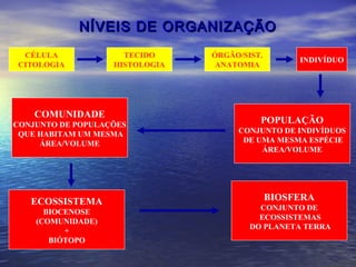 NÍVEIS DE ORGANIZAÇÃONÍVEIS DE ORGANIZAÇÃO
CÉLULA
CITOLOGIA
TECIDO
HISTOLOGIA
INDIVÍDUO
ÓRGÃO/SIST.
ANATOMIA
POPULAÇÃO
CONJUNTO DE INDIVÍDUOS
DE UMA MESMA ESPÉCIE
ÁREA/VOLUME
COMUNIDADE
CONJUNTO DE POPULAÇÕES
QUE HABITAM UM MESMA
ÁREA/VOLUME
ECOSSISTEMA
BIOCENOSE
(COMUNIDADE)
+
BIÓTOPO
BIOSFERA
CONJUNTO DE
ECOSSISTEMAS
DO PLANETA TERRA
 