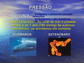 PRESSÃOPRESSÃO
CLASSIFICAÇÃCLASSIFICAÇÃ
O:O:
 EURÍBAROS = SUPORTAM GRANDESEURÍBAROS = SUPORTAM GRANDES
VARIAÇÕESVARIAÇÕES
 ESTENÓBAROS = NÃO SUPORTAMESTENÓBAROS = NÃO SUPORTAM
VARIAÇÕESVARIAÇÕES““NÃO ESQUEÇA”- Ao nível do mar a pressãoNÃO ESQUEÇA”- Ao nível do mar a pressão
normal é de 1 atm.(760 mmHg) Se subimosnormal é de 1 atm.(760 mmHg) Se subimos
ela diminui, se afundamos ela aumenta.ela diminui, se afundamos ela aumenta.
EURÍBAROSEURÍBAROS ESTENÓBAROESTENÓBARO
SS
 