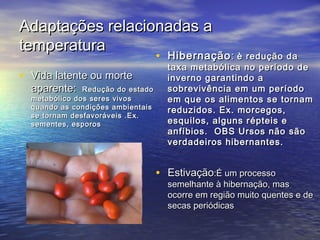 Adaptações relacionadas aAdaptações relacionadas a
temperaturatemperatura
• Vida latente ou morteVida latente ou morte
aparente:aparente: Redução do estadoRedução do estado
metabólico dos seres vivosmetabólico dos seres vivos
quando as condições ambientaisquando as condições ambientais
se tornam desfavoráveis .Ex.se tornam desfavoráveis .Ex.
sementes, esporossementes, esporos
• HibernaçãoHibernação:: è redução daè redução da
taxa metabólica no período detaxa metabólica no período de
inverno garantindo ainverno garantindo a
sobrevivência em um períodosobrevivência em um período
em que os alimentos se tornamem que os alimentos se tornam
reduzidos. Ex. morcegos,reduzidos. Ex. morcegos,
esquilos, alguns répteis eesquilos, alguns répteis e
anfíbios. OBS Ursos não sãoanfíbios. OBS Ursos não são
verdadeiros hibernantes.verdadeiros hibernantes.
• EstivaçãoEstivação:É um processo:É um processo
semelhante à hibernação, massemelhante à hibernação, mas
ocorre em região muito quentes e deocorre em região muito quentes e de
secas periódicassecas periódicas
 