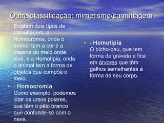 Outra classificação: mimetismo/camuflagemOutra classificação: mimetismo/camuflagem
• Existem dois tipos de
camuflagem, a
Homocromia, onde o
animal tem a cor é a
mesma do meio onde
vive, e a Homotipia, onde
o animal tem a forma de
objetos que compôe o
meio.
• - Homocromia
Como exemplo, podemos
citar os ursos polares,
que têm o pêlo branco
que confunde-se com a
neve.
• - Homotipia
O bicho-pau, que tem
forma de graveto e fica
em árvores que têm
galhos semelhantes à
forma de seu corpo.
 