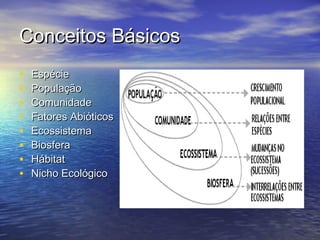 Conceitos BásicosConceitos Básicos
• EspécieEspécie
• PopulaçãoPopulação
• ComunidadeComunidade
• Fatores AbióticosFatores Abióticos
• EcossistemaEcossistema
• BiosferaBiosfera
• HábitatHábitat
• Nicho EcológicoNicho Ecológico
 