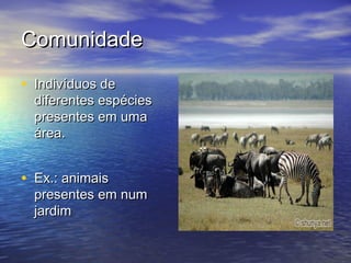 ComunidadeComunidade
• Indivíduos deIndivíduos de
diferentes espéciesdiferentes espécies
presentes em umapresentes em uma
área.área.
• Ex.: animaisEx.: animais
presentes em numpresentes em num
jardimjardim
 