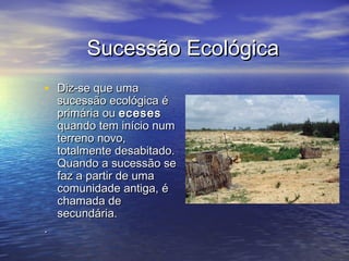 Sucessão EcológicaSucessão Ecológica
• Diz-se que umaDiz-se que uma
sucessão ecológica ésucessão ecológica é
primária ouprimária ou eceseseceses
quando tem início numquando tem início num
terreno novo,terreno novo,
totalmente desabitado.totalmente desabitado.
Quando a sucessão seQuando a sucessão se
faz a partir de umafaz a partir de uma
comunidade antiga, écomunidade antiga, é
chamada dechamada de
secundária.secundária.
..
 