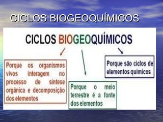 CICLOS BIOGEOQUÍMICOSCICLOS BIOGEOQUÍMICOS
 