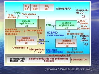 (Depósitos: 105
mol; fluxos: 105
mol . ano-1
)
 