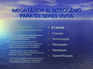 IMPORTÂNCIA do NITROGÊNIOIMPORTÂNCIA do NITROGÊNIO
PARA OS SERES VIVOSPARA OS SERES VIVOS
• - Na formação de Proteínas- Na formação de Proteínas
• Na formação de Ácidos Nucléicos: DNA eNa formação de Ácidos Nucléicos: DNA e
RNARNA
• Os animais apresentam formas diferentes deOs animais apresentam formas diferentes de
eliminar os compostos nitrogenadoseliminar os compostos nitrogenados
na natureza pela excreção-na natureza pela excreção-
• > Os aquáticos: esponjas, celenterados,> Os aquáticos: esponjas, celenterados,
crustáceos, moluscos, equinodermos, larvas decrustáceos, moluscos, equinodermos, larvas de
anfíbios e peixes ósseos eliminamanfíbios e peixes ósseos eliminam amôniaamônia ee
grande quantidade de água (amoniotélicos);grande quantidade de água (amoniotélicos);
-> Anfíbios adultos, peixes cartilaginosos e-> Anfíbios adultos, peixes cartilaginosos e
mamíferos eliminammamíferos eliminam uréiauréia, acompanhada de certa, acompanhada de certa
quantidade de água (ureotélicos);quantidade de água (ureotélicos);
-> Os insetos, os répteis e as aves eliminam ácido-> Os insetos, os répteis e as aves eliminam ácido
úrico e pouquíssima água, pois oúrico e pouquíssima água, pois o ácido úricoácido úrico éé
praticamente insolúvel em água (uricotélicos).praticamente insolúvel em água (uricotélicos).
• ETAPASETAPAS
- FixaçãoFixação
- AmonizaçãoAmonização
- NitrosaçãoNitrosação
- NitrataçãoNitratação
- DesnitrificaçãoDesnitrificação
 