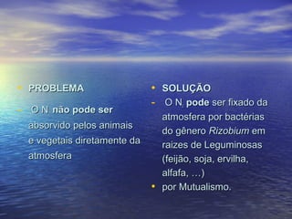 • PROBLEMAPROBLEMA
- O NO N22 não pode sernão pode ser
absorvido pelos animaisabsorvido pelos animais
e vegetais diretamente dae vegetais diretamente da
atmosferaatmosfera
• SOLUÇÃOSOLUÇÃO
- O NO N22 podepode ser fixado daser fixado da
atmosfera por bactériasatmosfera por bactérias
do gênerodo gênero RizobiumRizobium emem
raizes de Leguminosasraizes de Leguminosas
(feijão, soja, ervilha,(feijão, soja, ervilha,
alfafa, …)alfafa, …)
• por Mutualismo.por Mutualismo.
 