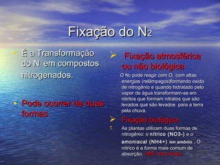 Fixação do NFixação do N22
• É a TransformaçãoÉ a Transformação
do Ndo N22 em compostosem compostos
nitrogenados.nitrogenados.
• Pode ocorrer de duasPode ocorrer de duas
formasformas
 Fixação atmosféricaFixação atmosférica
ou não biológicaou não biológica
O NO N22 pode reagir com Opode reagir com O22 com altascom altas
energias (relâmpagos)formando oxidoenergias (relâmpagos)formando oxido
de nitrogênio e quando hidratado pelode nitrogênio e quando hidratado pelo
vapor de água transformam-se emvapor de água transformam-se em
nitritos que formam nitratos que sãonitritos que formam nitratos que são
levados que são levados para a terralevados que são levados para a terra
pela chuva.pela chuva.
 Fixação biológicaFixação biológica
1.1. As plantas utilizam duas formas deAs plantas utilizam duas formas de
nitrogênio: onitrogênio: o nítrico (NO3-)nítrico (NO3-) e oe o
amoniacal (NH4+)amoniacal (NH4+) íon amônioíon amônio . O. O
nítrico é a forma mais comum denítrico é a forma mais comum de
absorção.absorção. OBS: NHOBS: NH33 amôniaamônia
 