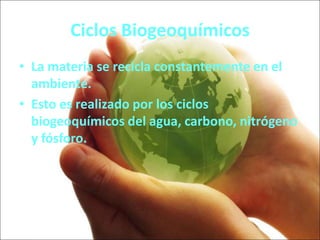 Ciclos Biogeoquímicos
• La materia se recicla constantemente en el
ambiente.
• Esto es realizado por los ciclos
biogeoquímicos del agua, carbono, nitrógeno
y fósforo.
 
