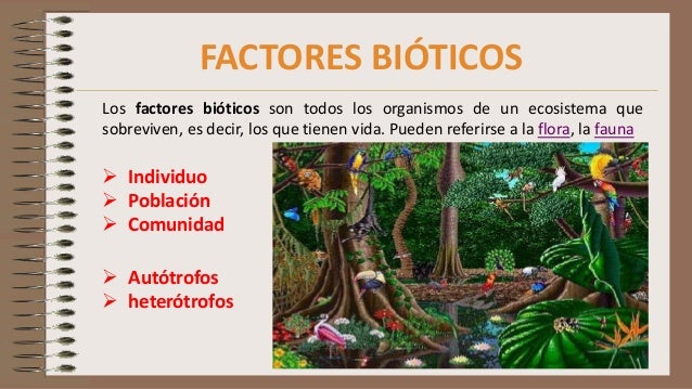 Ecología (Factores bióticos abióticos, zonas de vida y