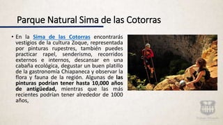 Parque Natural Sima de las Cotorras
• En la Sima de las Cotorras encontrarás
vestigios de la cultura Zoque, representada
por pinturas rupestres, también puedes
practicar rapel, senderismo, recorridos
externos e internos, descansar en una
cabaña ecológica, degustar un buen platillo
de la gastronomía Chiapaneca y observar la
flora y fauna de la región. Algunas de las
pinturas podrían tener hasta 10,000 años
de antigüedad, mientras que las más
recientes podrían tener alrededor de 1000
años,
 