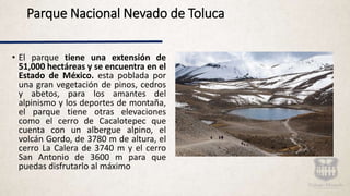 Parque Nacional Nevado de Toluca
• El parque tiene una extensión de
51,000 hectáreas y se encuentra en el
Estado de México. esta poblada por
una gran vegetación de pinos, cedros
y abetos, para los amantes del
alpinismo y los deportes de montaña,
el parque tiene otras elevaciones
como el cerro de Cacalotepec que
cuenta con un albergue alpino, el
volcán Gordo, de 3780 m de altura, el
cerro La Calera de 3740 m y el cerro
San Antonio de 3600 m para que
puedas disfrutarlo al máximo
 