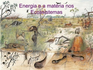 Energia e a matéria nos
    Ecossistemas
 