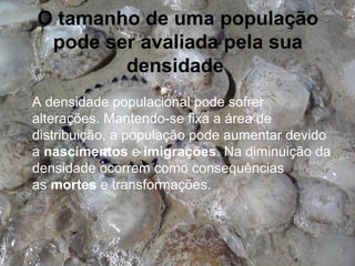 O tamanho de uma população
 pode ser avaliada pela sua
        densidade
A densidade populacional pode sofrer
alterações. Mantendo-se fixa a área de
distribuição, a população pode aumentar devido
a nascimentos e imigrações. Na diminuição da
densidade ocorrem como consequências
as mortes e transformações.
 