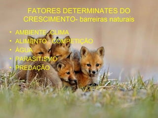 FATORES DETERMINATES DO
      CRESCIMENTO- barreiras naturais
•   AMBIENTE; CLIMA
•   ALIMENTO ; COMPETIÇÃO
•   ÁGUA
•   PARASITISMO
•   PREDAÇÃO
 