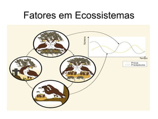 Fatores em Ecossistemas
 