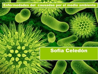 Enfermedades del causadas por el medio ambiente
Sofia Celedón
 