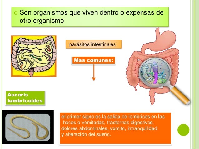 Que venden en la farmacia de los parásitos