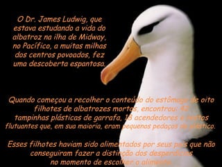 Quando começou a recolher o conteúdo do estômago de oito filhotes de albatrozes mortos, encontrou: 42 tampinhas plásticas de garrafa, 18 acendedores e restos  flutuantes que, em sua maioria, eram pequenos pedaços de plástico.  O Dr. James Ludwig, que estava estudando a vida do albatroz na ilha de Midway, no Pacífico, a muitas milhas dos centros povoados, fez uma descoberta espantosa. Esses filhotes haviam sido alimentados por seus pais que não conseguiram fazer a distinção dos desperdícios no momento de escolher o alimento. 