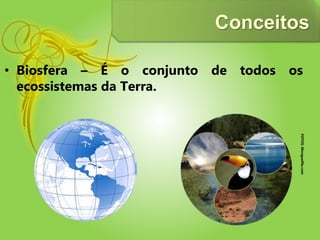 Conceitos
• Biosfera – É o conjunto de todos os
ecossistemas da Terra.
FOTOS:Monguefile.com
 