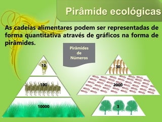 As cadeias alimentares podem ser representadas de
forma quantitativa através de gráficos na forma de
pirâmides.
Pirâmide ecológicas
Pirâmides
de
Números
10000
100
10
3
2000
30
 