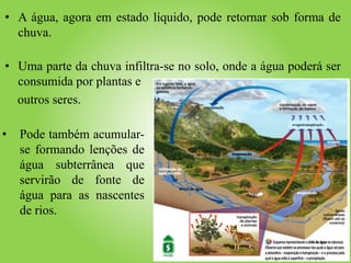 • A água, agora em estado líquido, pode retornar sob forma de
chuva.
• Uma parte da chuva infiltra-se no solo, onde a água poderá ser
consumida por plantas e
outros seres.
evapotranspiração
• Pode também acumular-
se formando lenções de
água subterrânea que
servirão de fonte de
água para as nascentes
de rios.
 