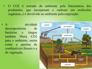 • O CO2 é retirado do ambiente pela fotossíntese dos
produtores, que incorporam o carbono em moléculas
orgânicas, e é devolvido ao ambiente pela respiração.
• A atividade
decompositoras de
bactérias e fungos
também libera CO2
para o ambiente, assim
como a queima de
combustíveis fósseis e a
de vegetação.
 